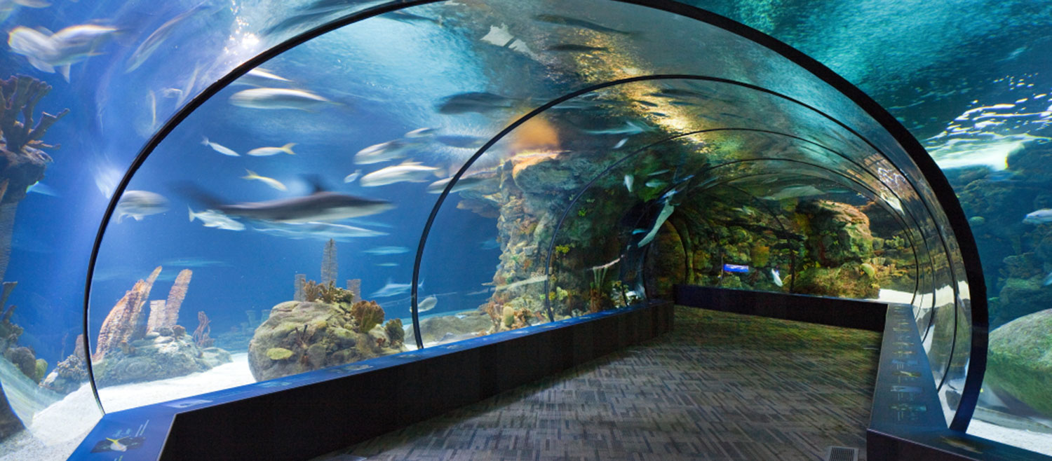 17 of the Best Zoos in the U.S. - The Family Vacation Guide